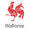 logo wallonie
