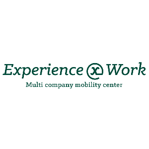 logo experience work